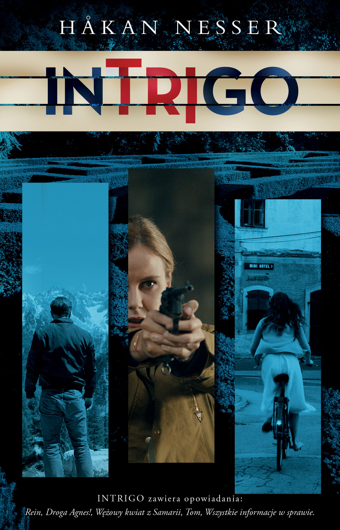 Tytuł: Intrigo
Autor: Håkan Nesser
Wydawnictwo: Wydawnictwo Czarna Owca
Formaty: EPUB, MOBI