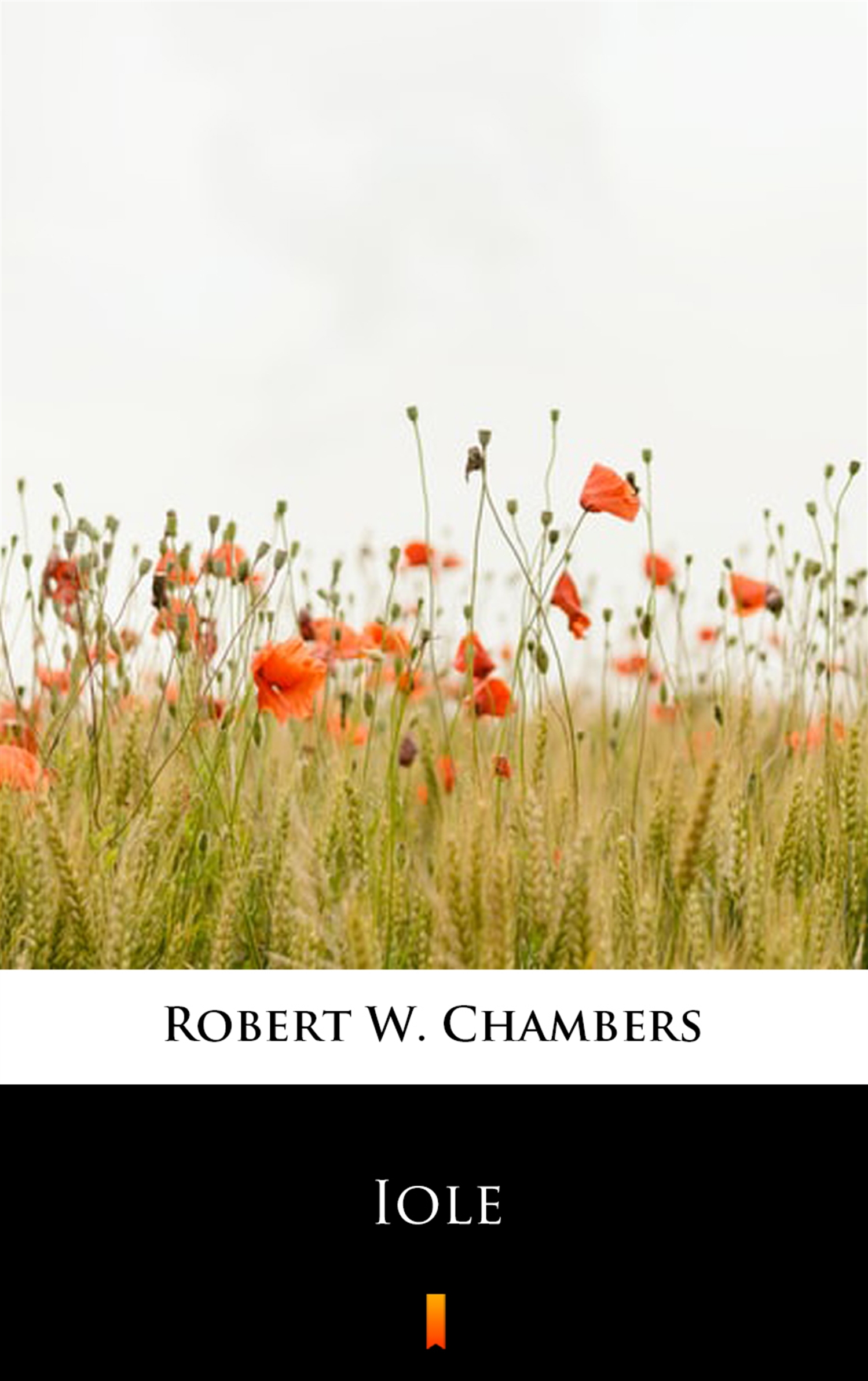 Tytuł: Iole
Autor: Robert W. Chambers
Wydawnictwo: KtoCzyta.pl
Formaty: EPUB, MOBI