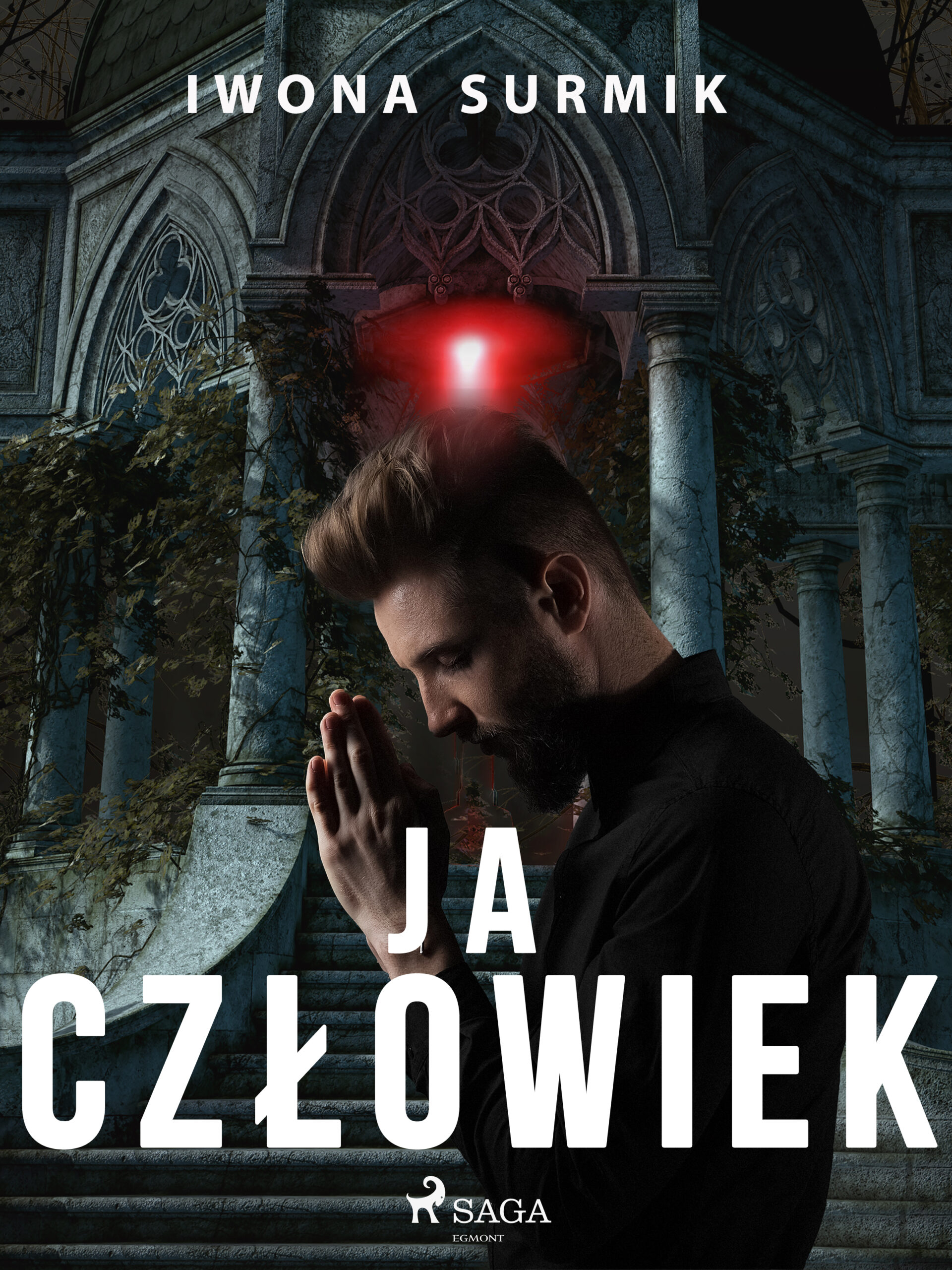 Tytuł: Ja, człowiek
Autor: Iwona Surmik
Wydawnictwo: SAGA Egmont
Formaty: EPUB, MOBI