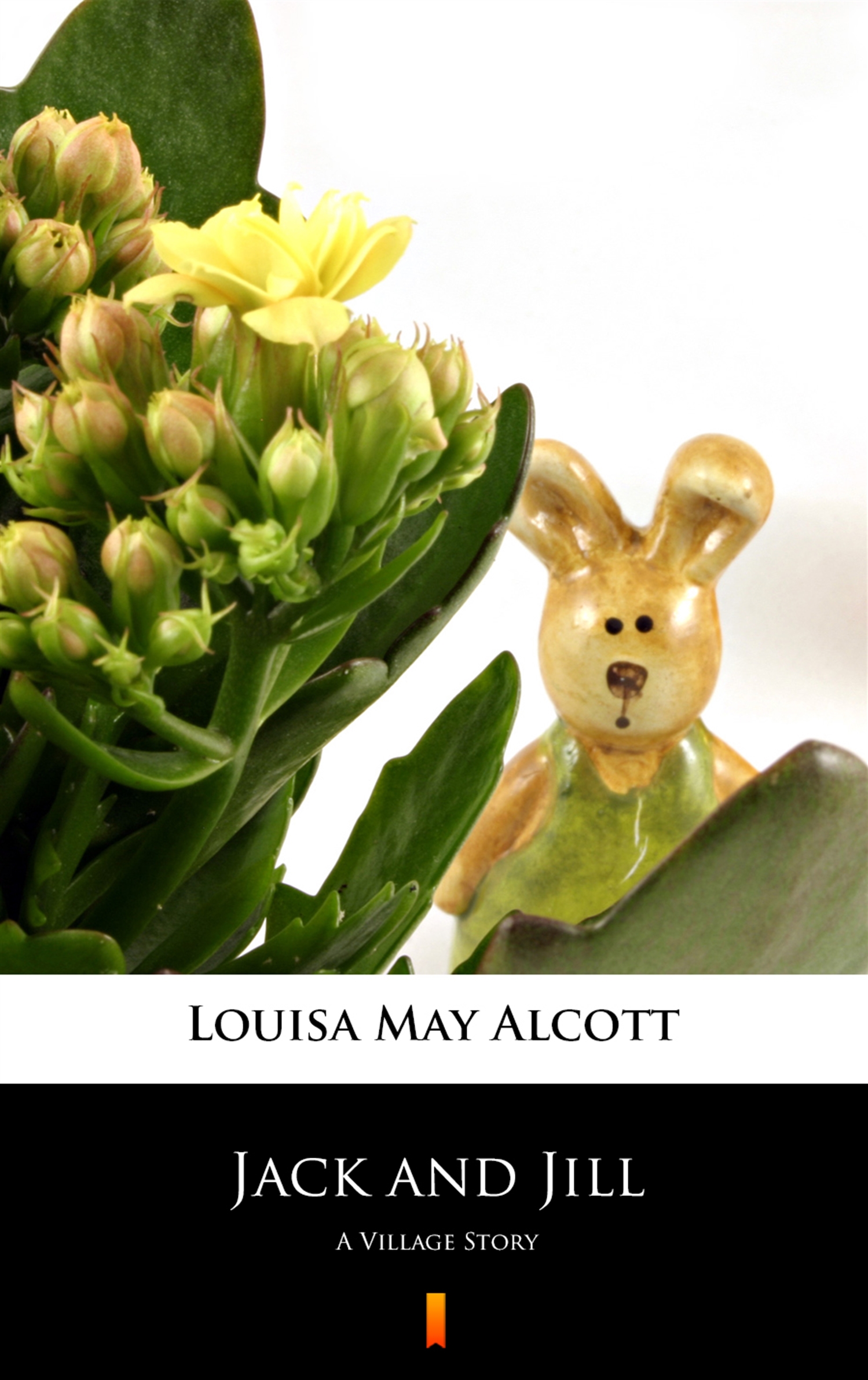 Tytuł: Jack and Jill. A Village Story
Autor: Louisa May Alcott
Wydawnictwo: KtoCzyta.pl
Formaty: EPUB, MOBI