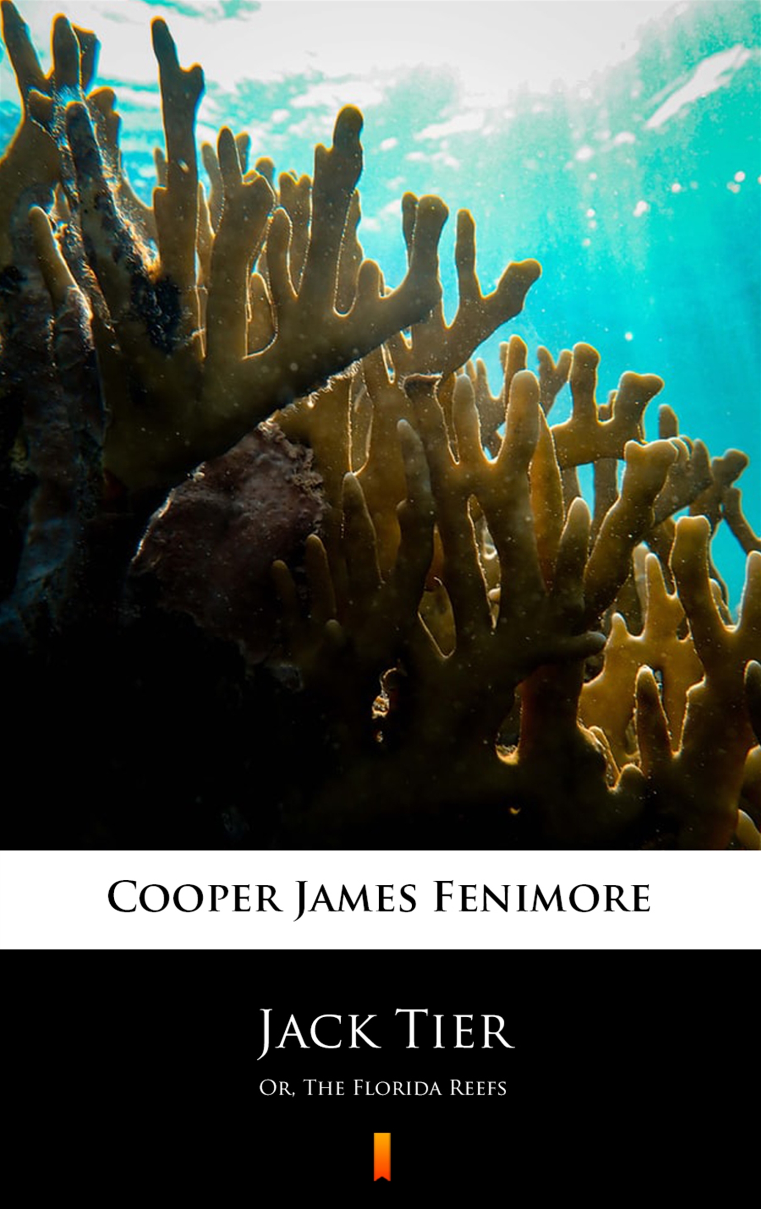 Tytuł: Jack Tier. Or, The Florida Reefs
Autor: James Fenimore Cooper
Wydawnictwo: KtoCzyta.pl
Formaty: EPUB, MOBI