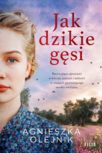 Jak dzikie gęsi — okładka e-booka