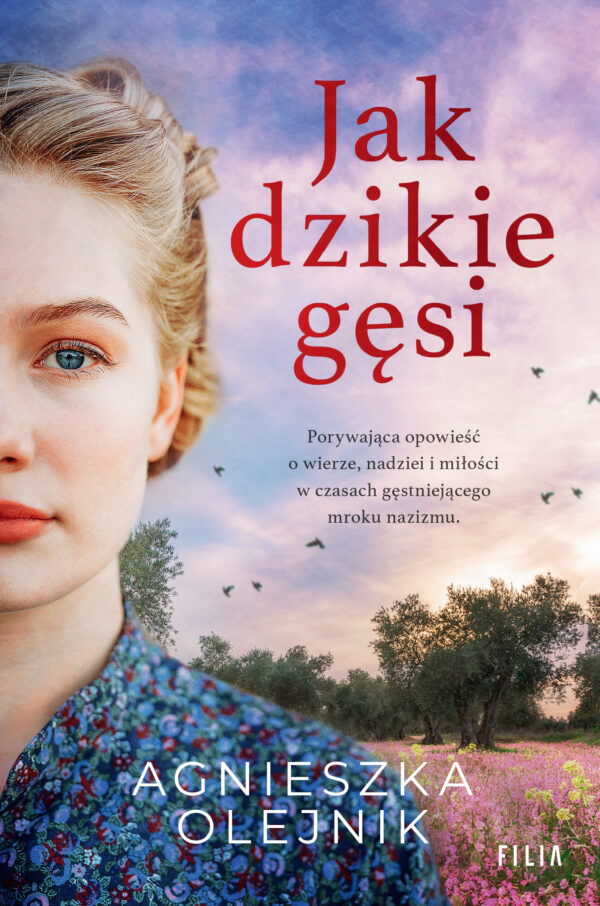 Jak dzikie gęsi — okładka