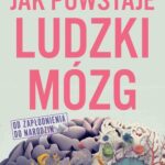 Jak powstaje ludzki mózg Od zapłodnienia do narodzin — okładka audiobooka
