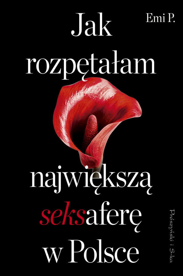 Jak rozpętałam największą seksaferę w Polsce — okładka