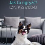 Tytuł: Jak to ugryźć? czyli pies w domu
Autor: Magdalena Łęczycka-Mrzygłód
Wydawnictwo: Chcę Robię Mam!
Formaty: PDF