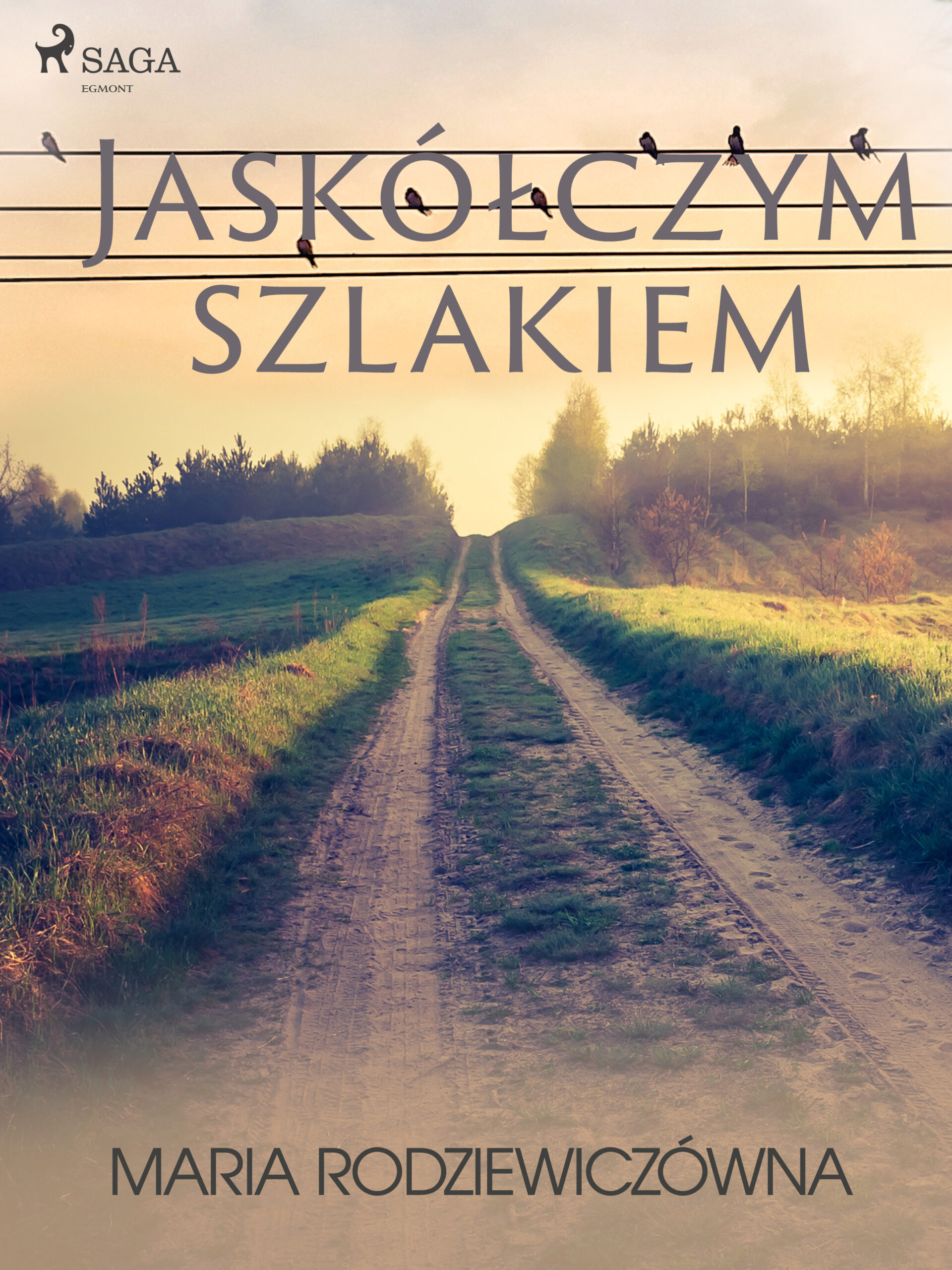 Tytuł: Jaskółczym szlakiem
Autor: Maria Rodziewiczówna
Wydawnictwo: SAGA Egmont
Formaty: EPUB, MOBI