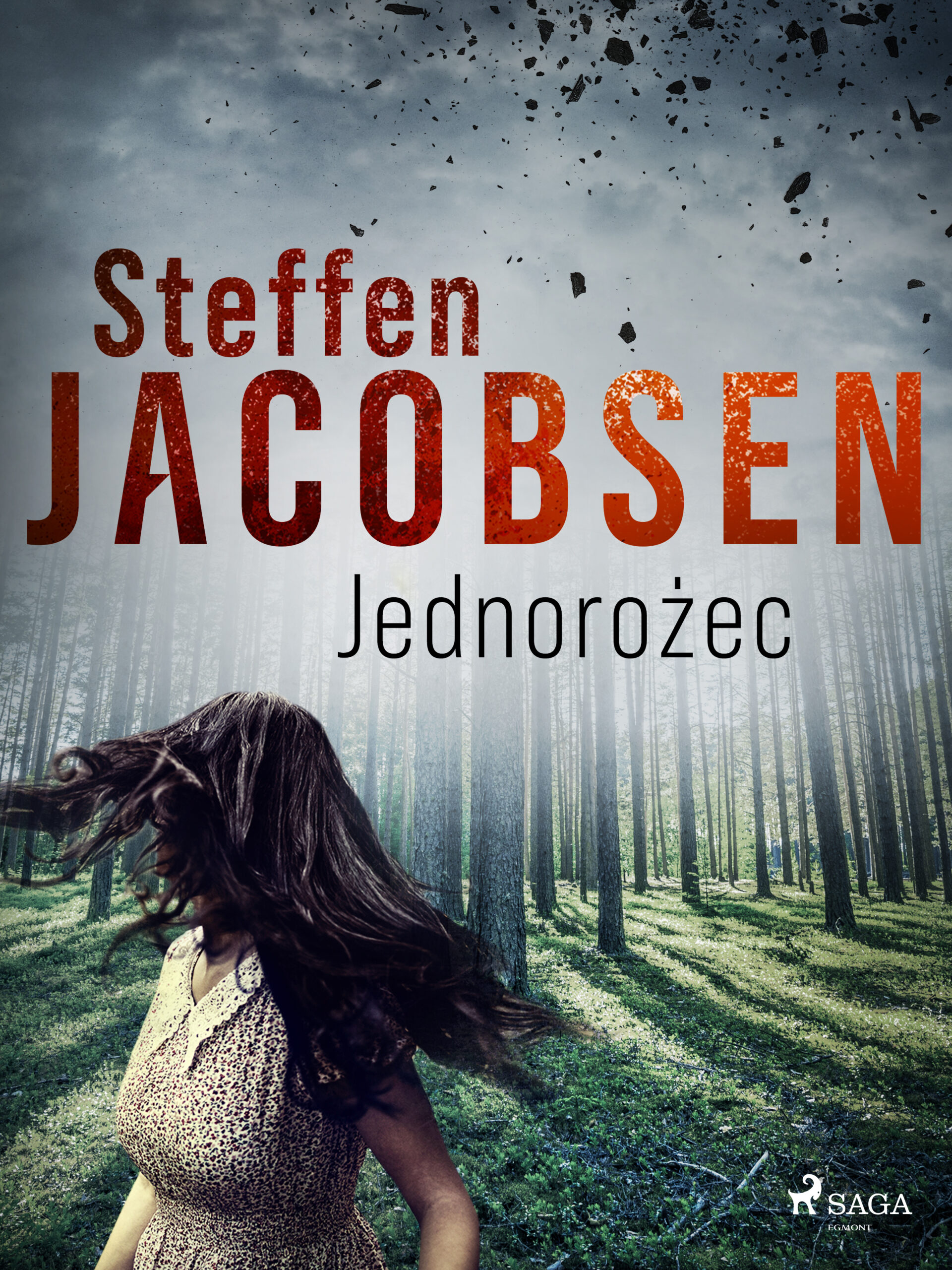 Jednorożec — okładka e-booka