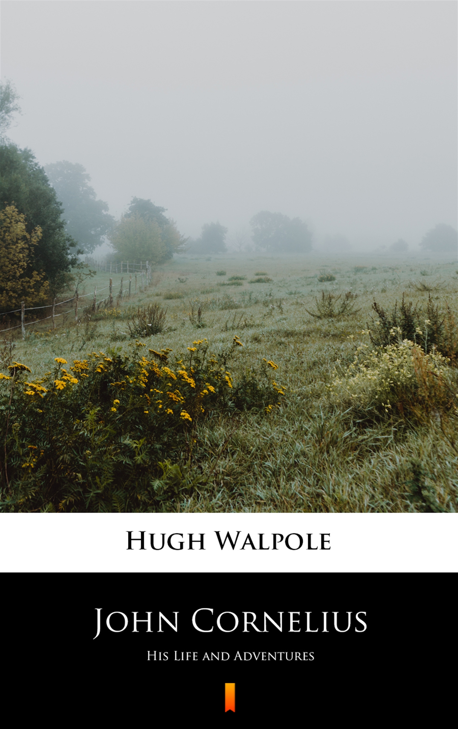 Tytuł: John Cornelius. His Life and Adventures
Autor: Hugh Walpole
Wydawnictwo: KtoCzyta.pl
Formaty: EPUB, MOBI
