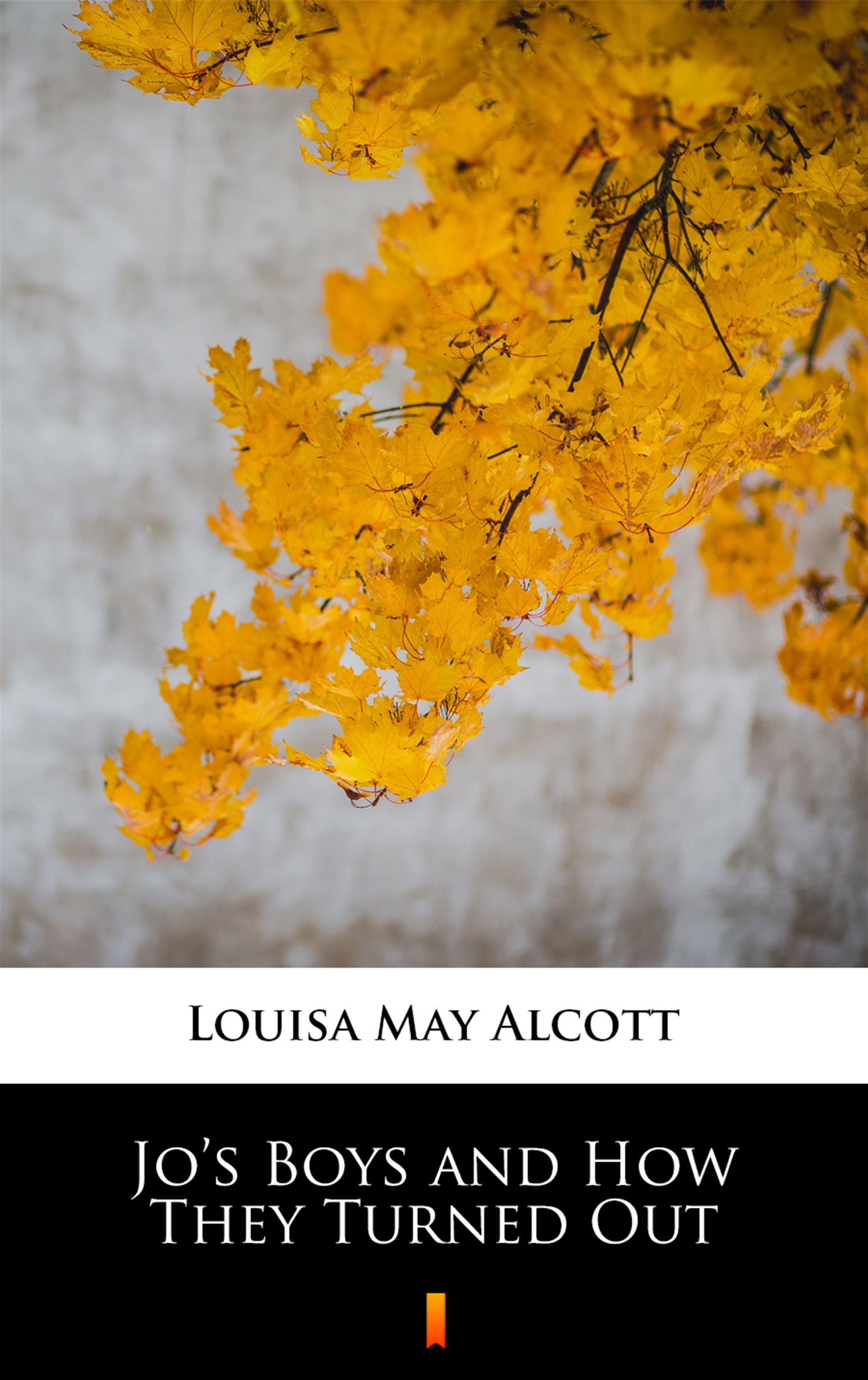 Tytuł: Jo’s Boys and How They Turned Out
Autor: Louisa May Alcott
Wydawnictwo: KtoCzyta.pl
Formaty: EPUB, MOBI