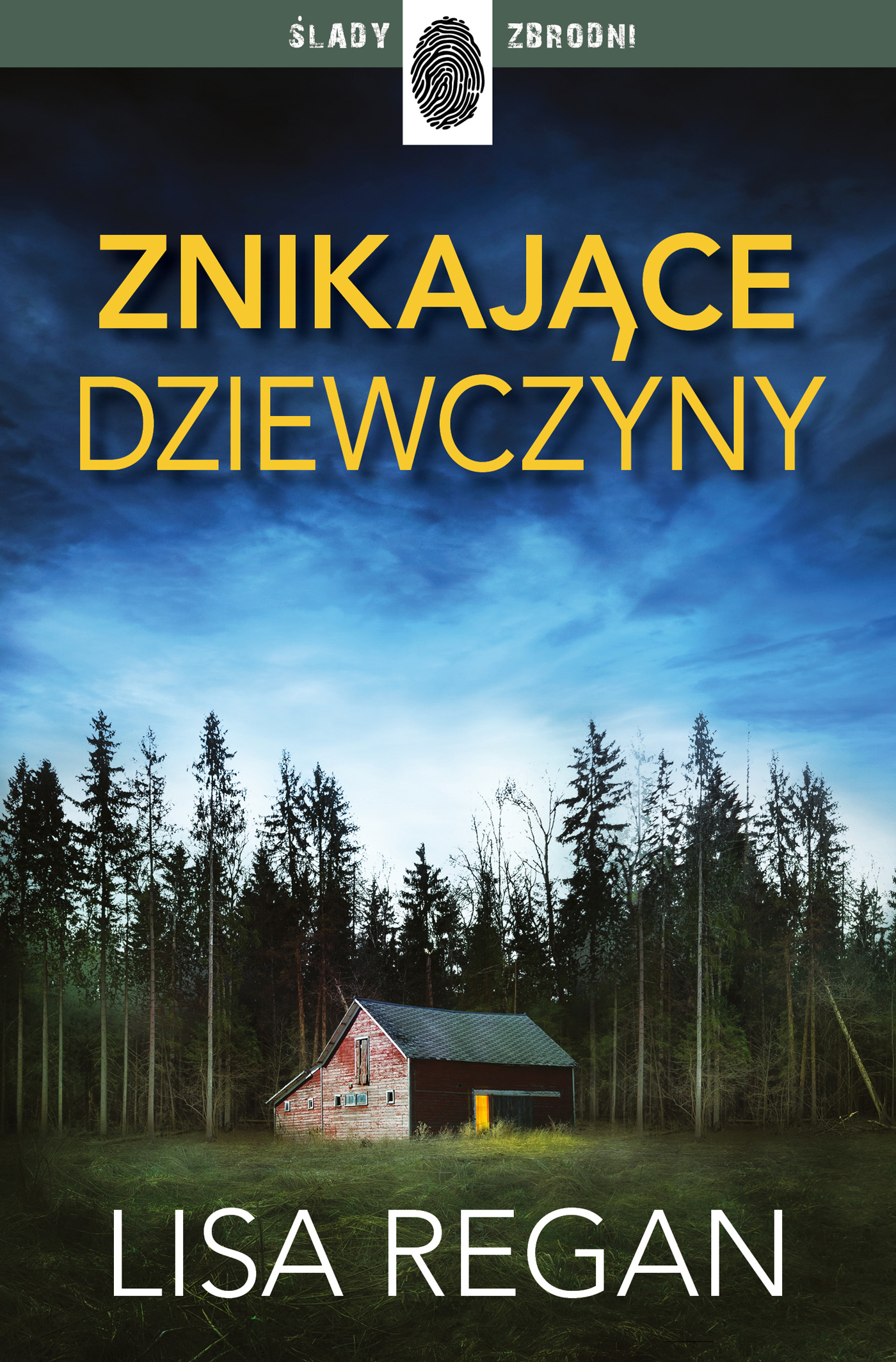 Tytuł: Josie Quinn (Tom 1). Znikające dziewczyny
Autor: Lisa Regan
Wydawnictwo: Wydawnictwo Dolnośląskie
Formaty: EPUB, MOBI