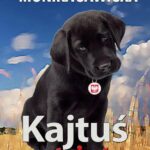 Tytuł: Kajtuś patriota
Autor: Monika Sawicka
Wydawnictwo: Wydawnictwo e-bookowo
Formaty: PDF, EPUB, MOBI