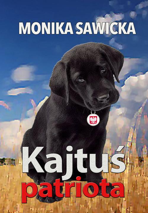 Tytuł: Kajtuś patriota
Autor: Monika Sawicka
Wydawnictwo: Wydawnictwo e-bookowo
Formaty: PDF, EPUB, MOBI