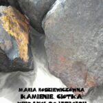 Tytuł: Kamienie. Ciotka. Wpisany do heroldii
Autor: Maria Rodziewiczówna
Wydawnictwo: Armoryka
Formaty: MOBI, EPUB