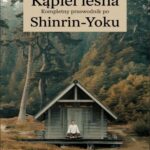 Tytuł: Kąpiel leśna: Kompletny przewodnik po Shinrin-Yoku
Autor: Przemysław Gmerek
Wydawnictwo: Przemysław Gmerek
Formaty: MOBI, EPUB, PDF