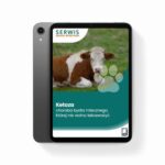 Ketoza – choroba bydła mlecznego, której nie wolno lekceważyć — okładka e-booka