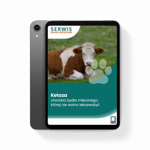 Ketoza – choroba bydła mlecznego, której nie wolno lekceważyć — okładka e-booka