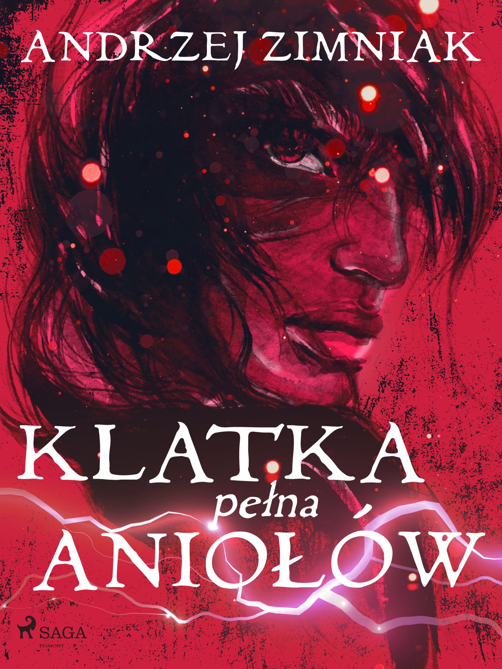 Tytuł: Klatka pełna aniołów
Autor: Andrzej Zimniak
Wydawnictwo: SAGA Egmont
Formaty: EPUB, MOBI