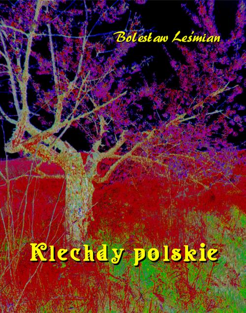 Tytuł: Klechdy polskie
Autor: Bolesław Leśmian
Wydawnictwo: Armoryka
Formaty: MOBI, EPUB