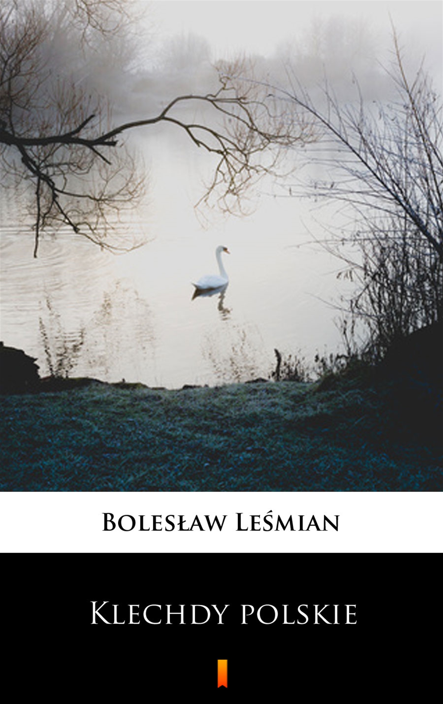 Tytuł: Klechdy polskie
Autor: Bolesław Leśmian
Wydawnictwo: KtoCzyta.pl
Formaty: EPUB, MOBI