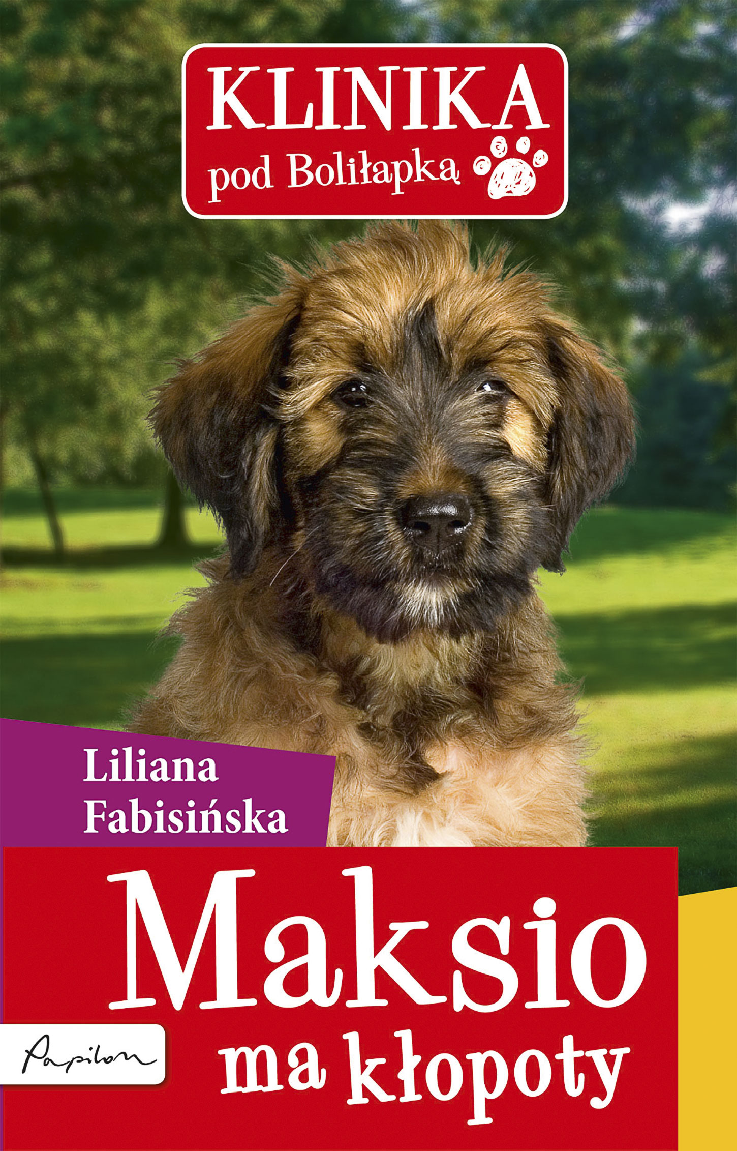 Tytuł: Klinika pod Boliłapką (#1). Maksio ma kłopoty
Autor: Liliana Fabisińska
Wydawnictwo: Papilon
Formaty: EPUB, MOBI
