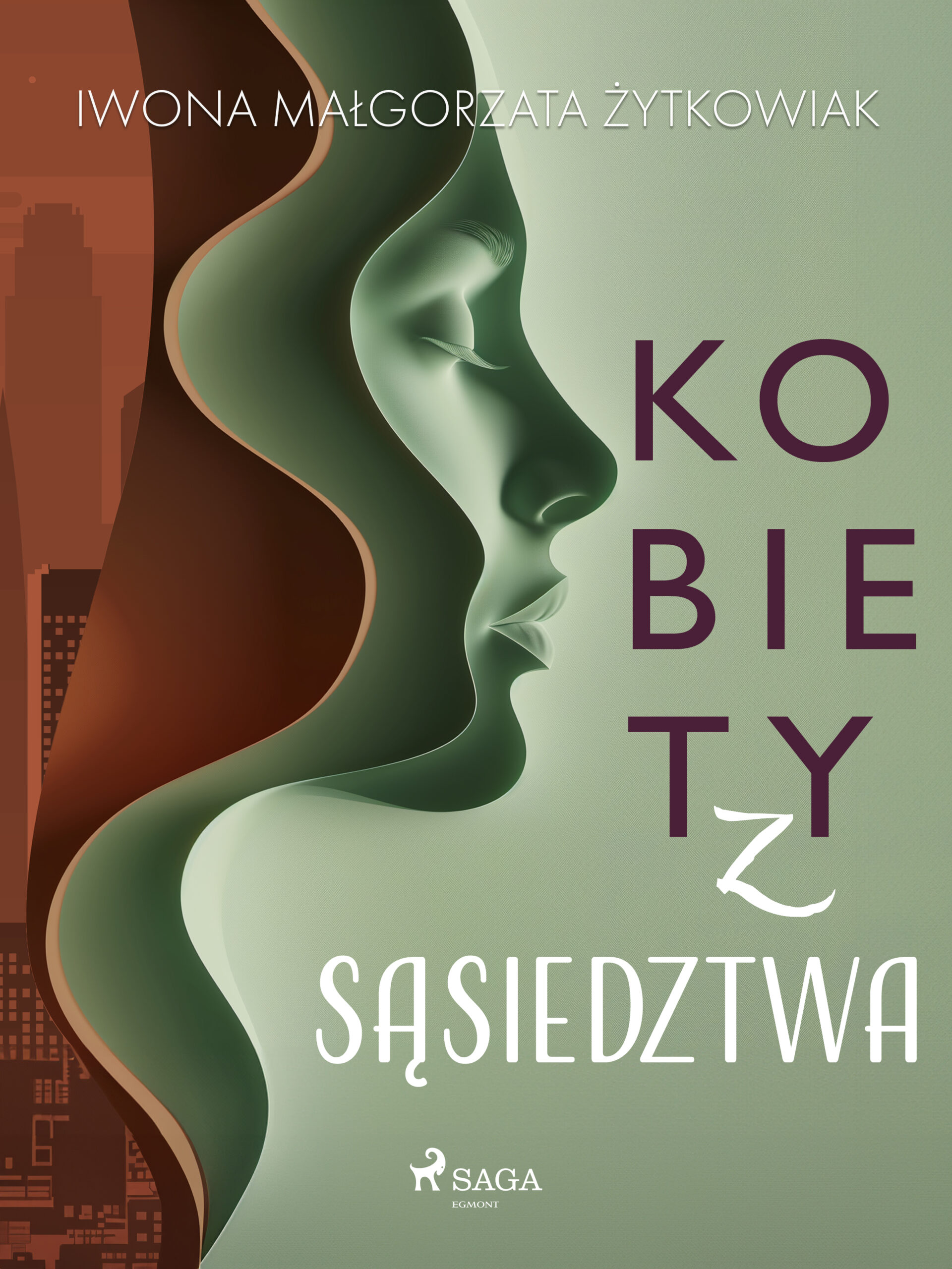 Kobiety z sąsiedztwa — okładka e-booka