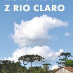 Tytuł: Koloniści z Rio Claro
Autor: Karolina Bielenin-Lenczowska
Wydawnictwo: Słowo/Obraz Terytoria
Formaty: MOBI, EPUB