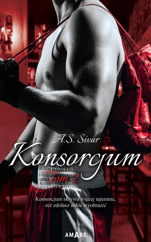 Konsorcjum Tom II — okładka e-booka