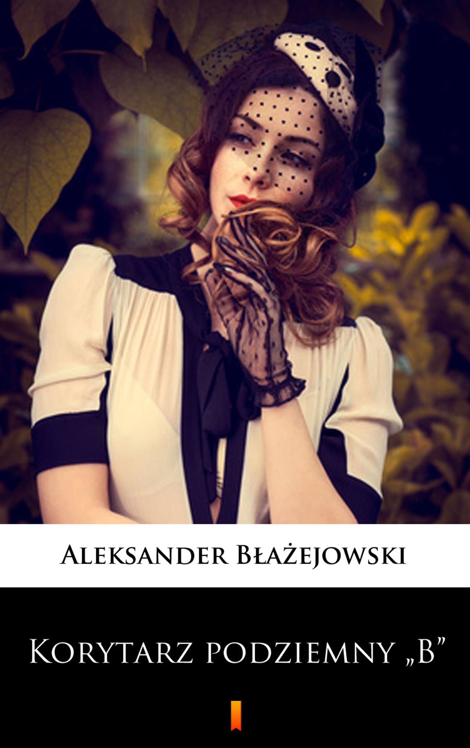 Tytuł: Korytarz podziemny „B”
Autor: Aleksander Błażejowski
Wydawnictwo: KtoCzyta.pl
Formaty: EPUB, MOBI