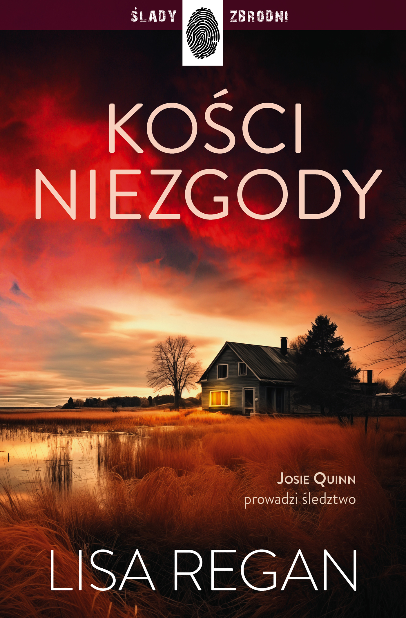 Tytuł: Kości niezgody
Autor: Lisa Regan
Wydawnictwo: Wydawnictwo Dolnośląskie
Formaty: EPUB, MOBI
