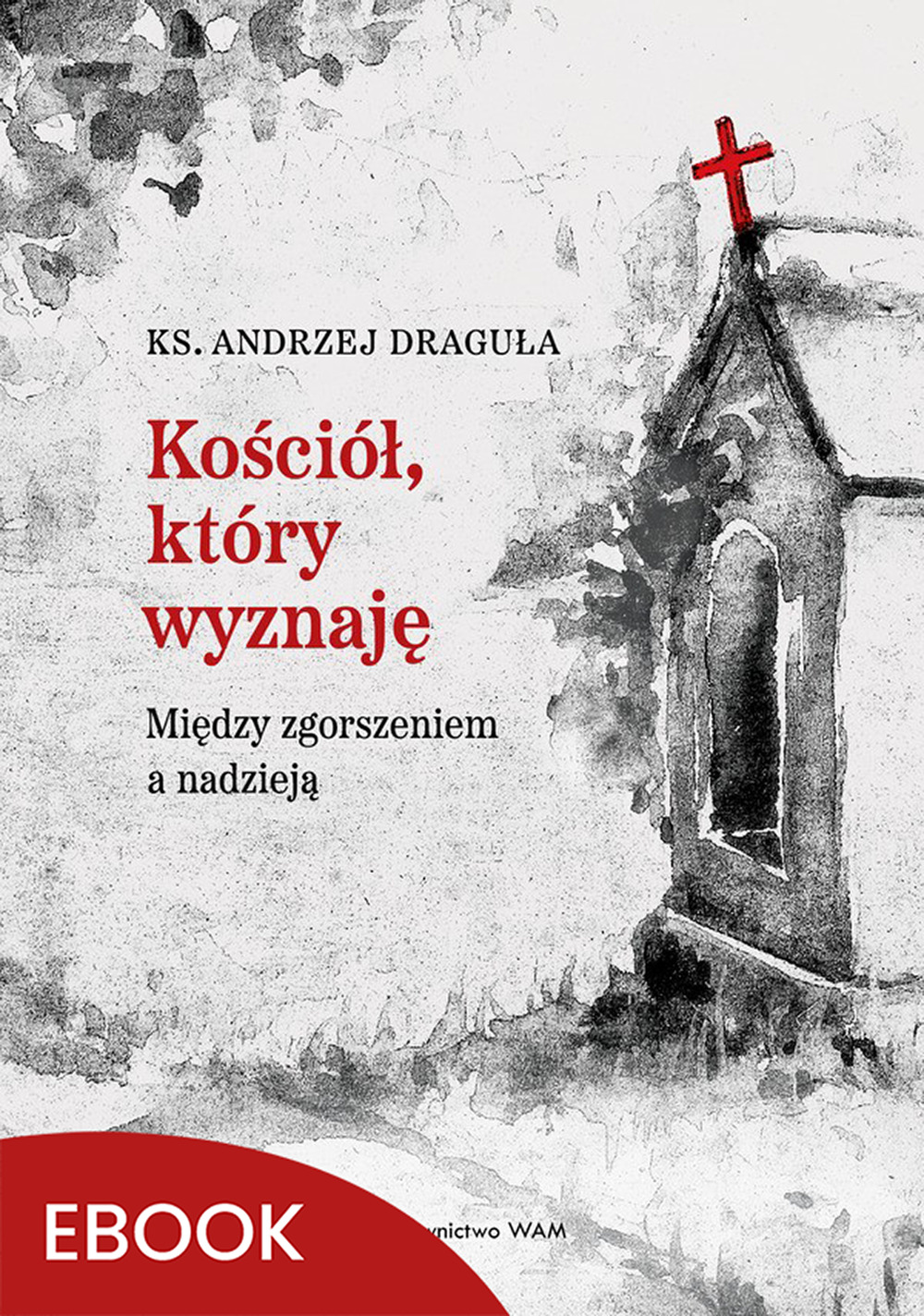 Tytuł: Kościół, który wyznaję. Między zgorszeniem a nadzieją
Autor: ks. Andrzej Draguła
Wydawnictwo: WAM
Formaty: EPUB, MOBI