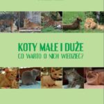 Koty małe i duże. Co warto o nich wiedzieć? — okładka e-booka