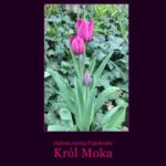 Tytuł: Król Moka
Autor: Helena Janina Pajzderska
Wydawnictwo: Armoryka
Formaty: EPUB, MOBI