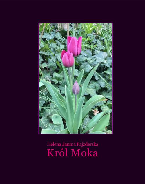 Tytuł: Król Moka
Autor: Helena Janina Pajzderska
Wydawnictwo: Armoryka
Formaty: EPUB, MOBI