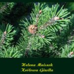 Tytuł: Królowa Gizella
Autor: Helena Mniszek
Wydawnictwo: Armoryka
Formaty: EPUB, MOBI