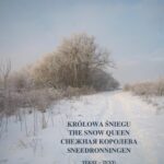 Tytuł: Królowa Śniegu. The Snow Queen. Sneedronningen
Autor: Hans Christian Andersen
Wydawnictwo: Armoryka
Formaty: MOBI, EPUB