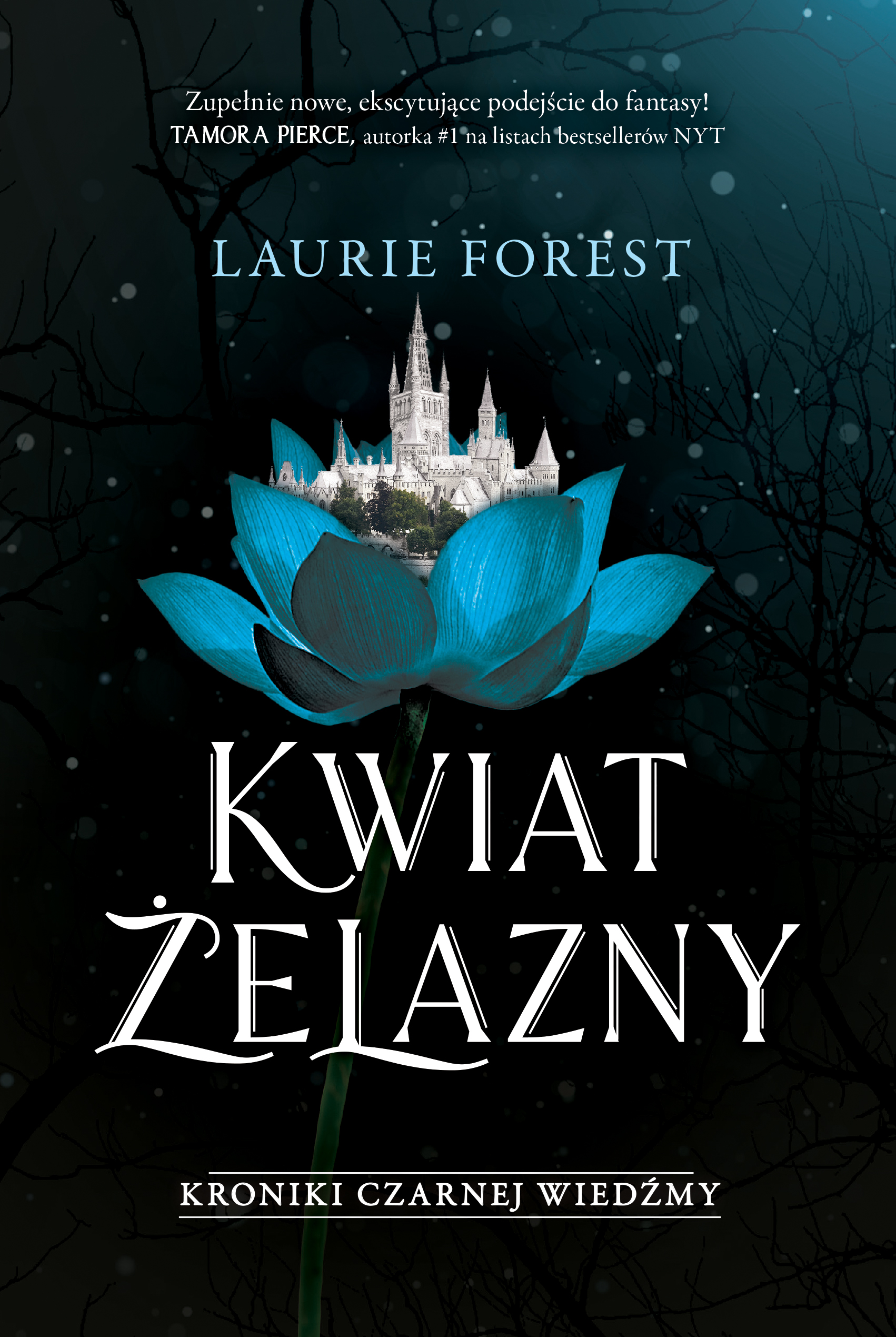 Tytuł: Kroniki Czarnej Wiedźmy (#2). Kwiat Żelazny. Kroniki Czarnej Wiedźmy. Tom 2
Autor: Laurie Forest
Wydawnictwo: Jaguar
Formaty: EPUB, MOBI
