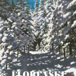 Tytuł: Kronos 3/2019. Florenski
Autor: Opracowanie zbiorowe
Wydawnictwo: Fundacja Cieszkowskiego
Formaty: EPUB, MOBI