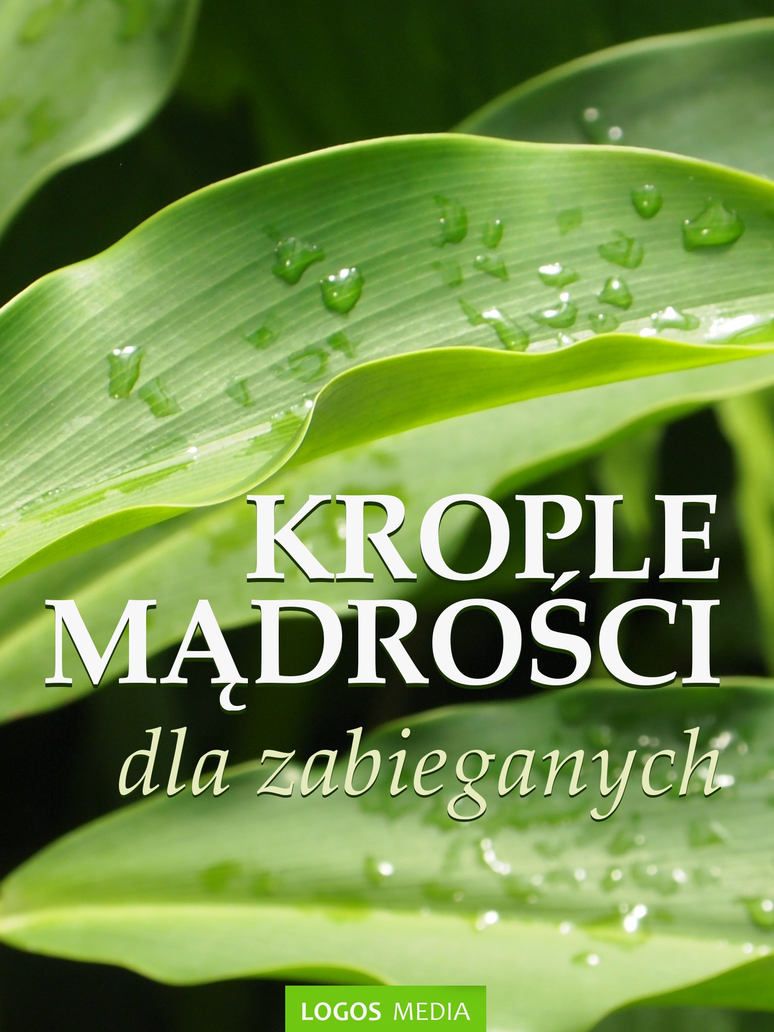 Tytuł: Krople mądrości dla zabieganych
Autor: L M Book
Wydawnictwo: Logos Media
Formaty: EPUB, MOBI