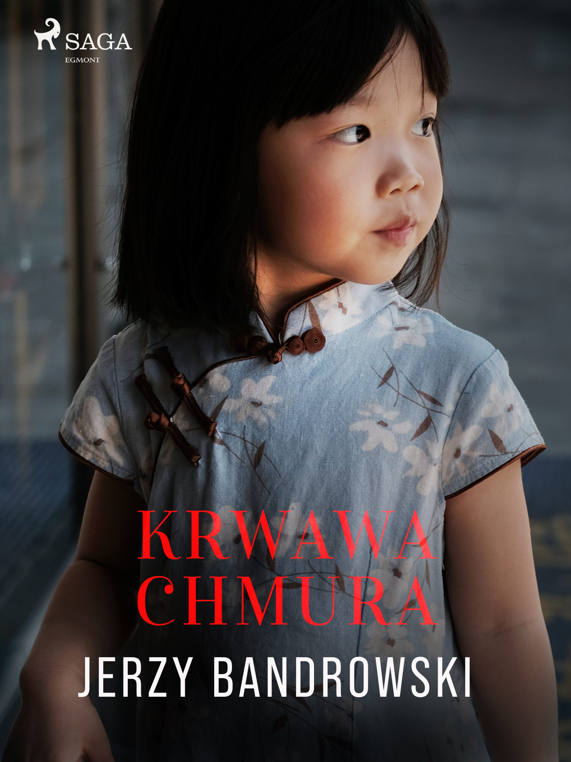 Tytuł: Krwawa chmura
Autor: Jerzy Bandrowski
Wydawnictwo: SAGA Egmont
Formaty: EPUB, MOBI