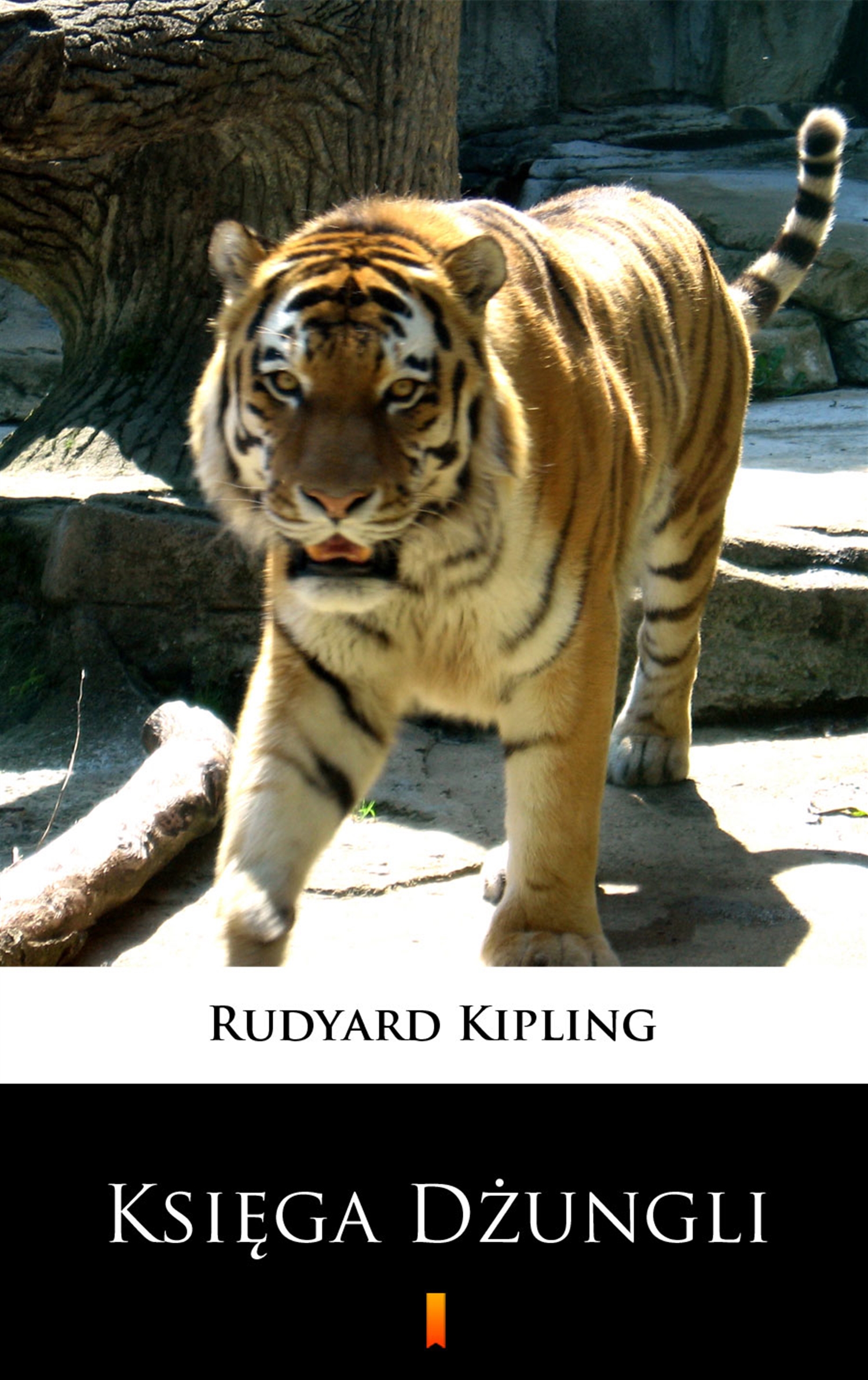 Tytuł: Księga dżungli
Autor: Rudyard Kipling
Wydawnictwo: KtoCzyta.pl
Formaty: EPUB, MOBI