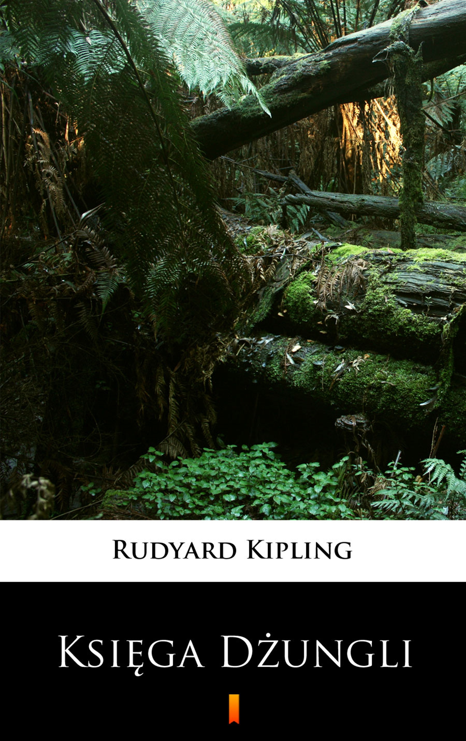 Tytuł: Księga dżungli
Autor: Rudyard Kipling
Wydawnictwo: KtoCzyta.pl
Formaty: EPUB, MOBI