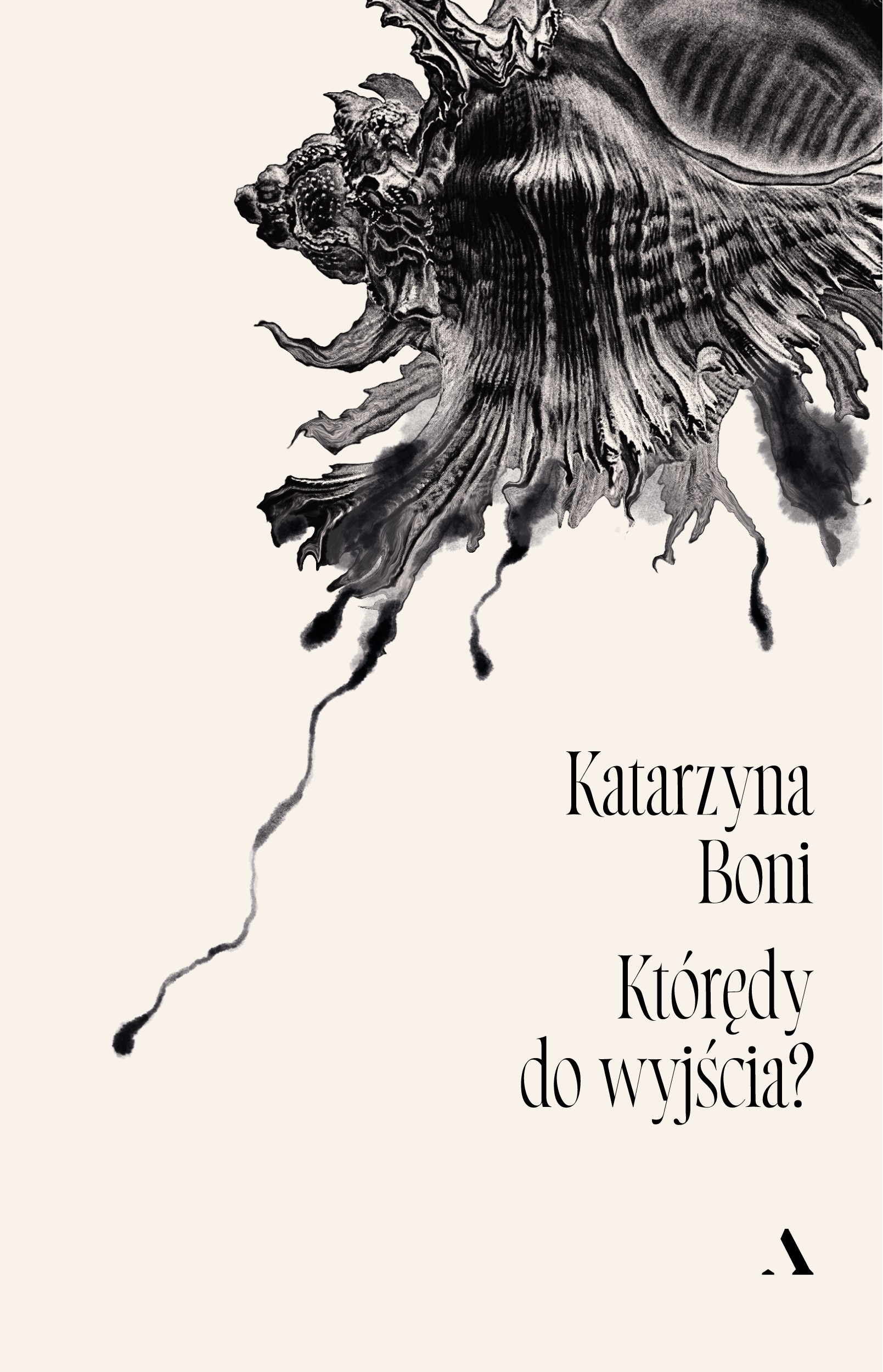 Tytuł: Którędy do wyjścia?
Autor: Katarzyna Boni
Wydawnictwo: Wydawnictwo Agora
Formaty: EPUB, MOBI