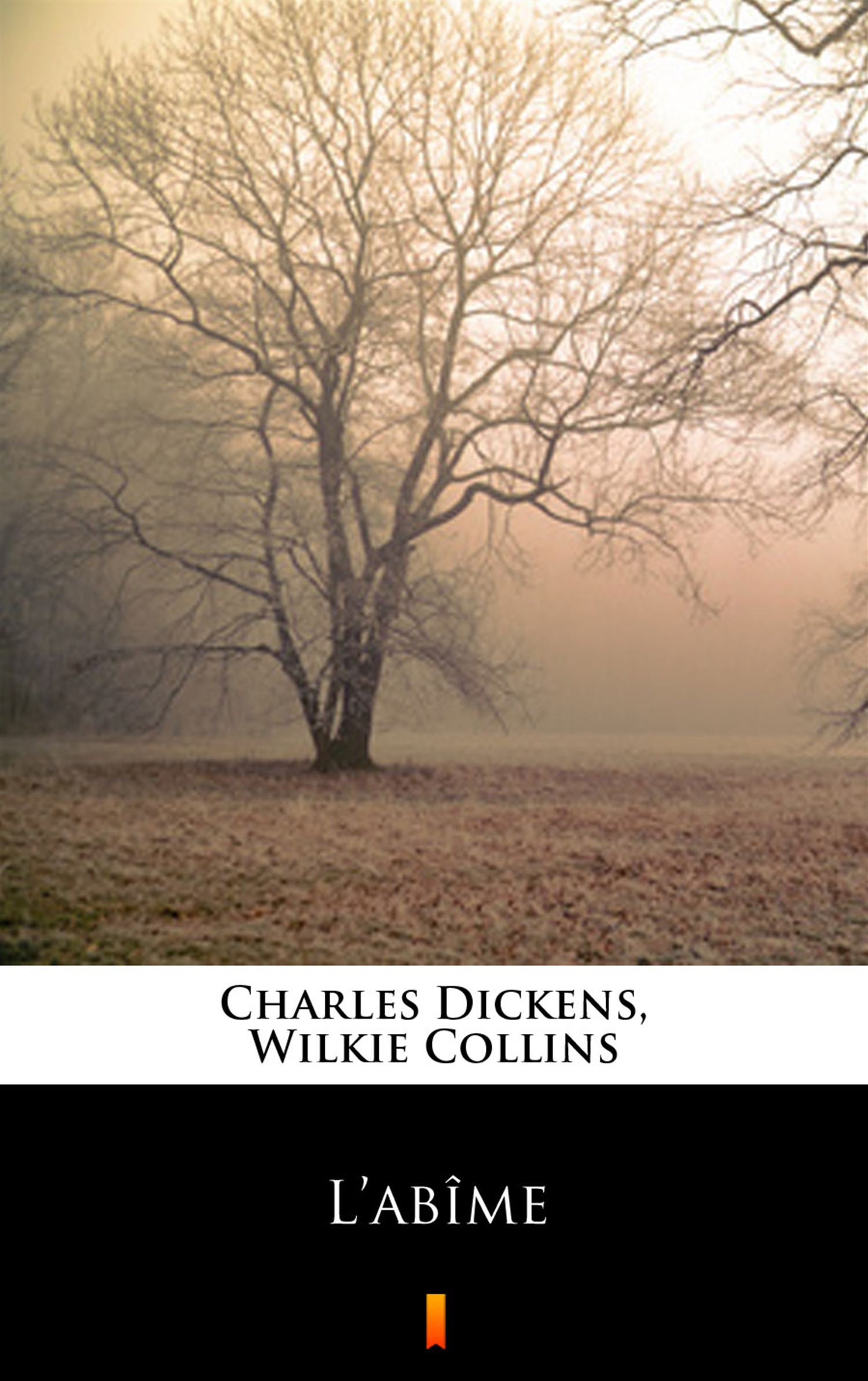 Tytuł: L’abîme
Autor: Charles Dickens, Wilkie Collins
Wydawnictwo: KtoCzyta.pl
Formaty: EPUB, MOBI