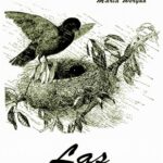 Tytuł: Las
Autor: Maria Weryho
Wydawnictwo: Armoryka
Formaty: EPUB, MOBI