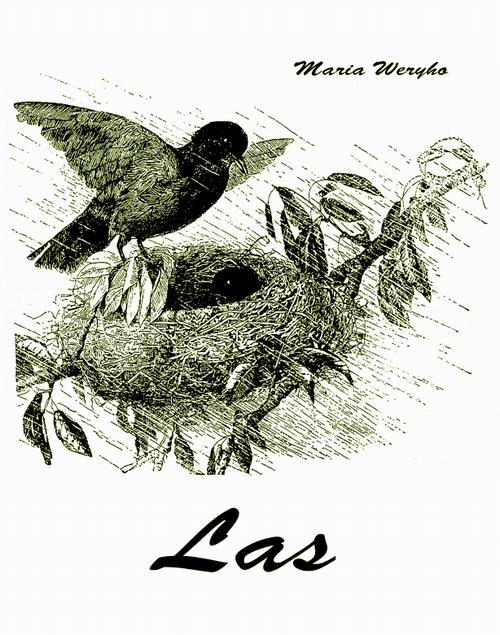 Tytuł: Las
Autor: Maria Weryho
Wydawnictwo: Armoryka
Formaty: EPUB, MOBI