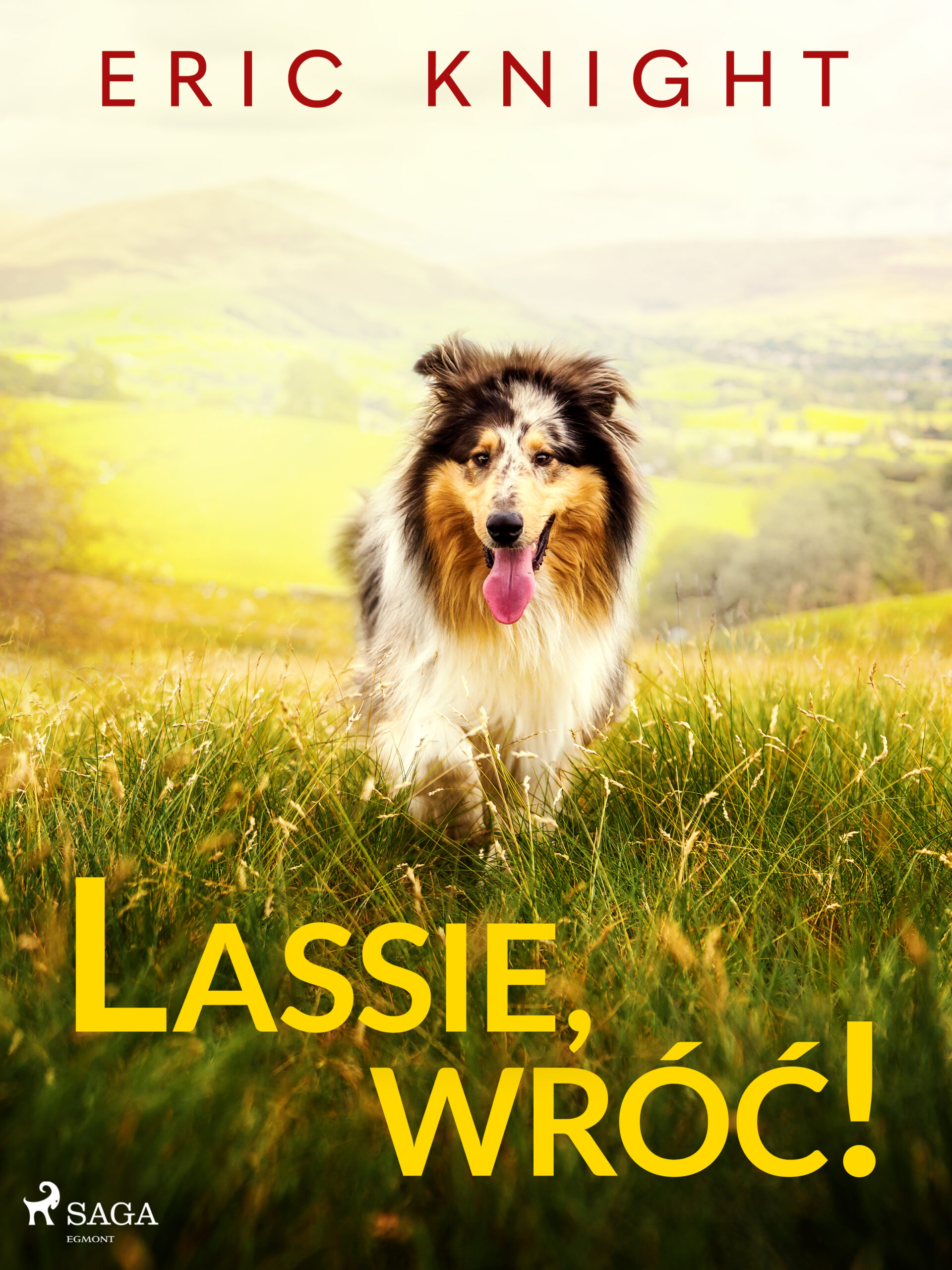 Lassie, wróć! — okładka e-booka