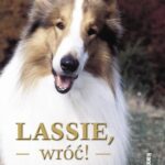 Lassie, wróć ! — okładka e-booka