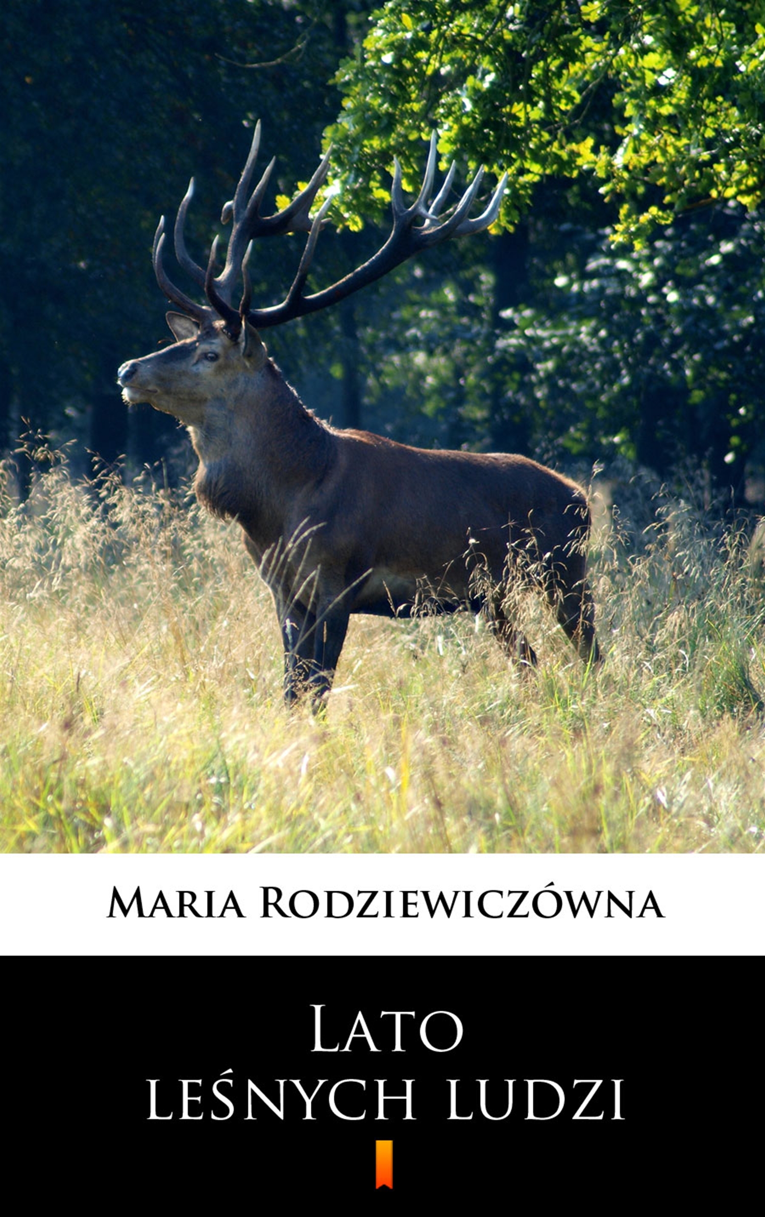Tytuł: Lato leśnych ludzi
Autor: Maria Rodziewiczówna
Wydawnictwo: KtoCzyta.pl
Formaty: EPUB, MOBI