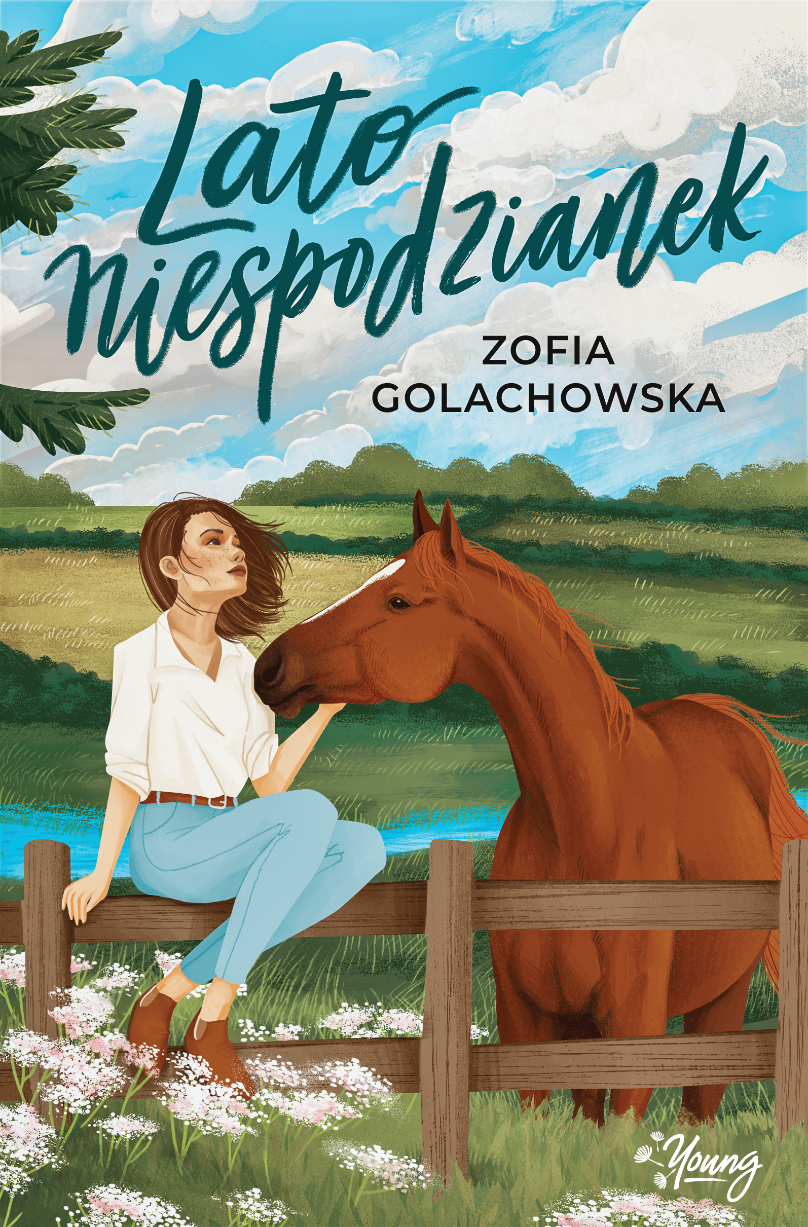 Lato niespodzianek — okładka e-booka